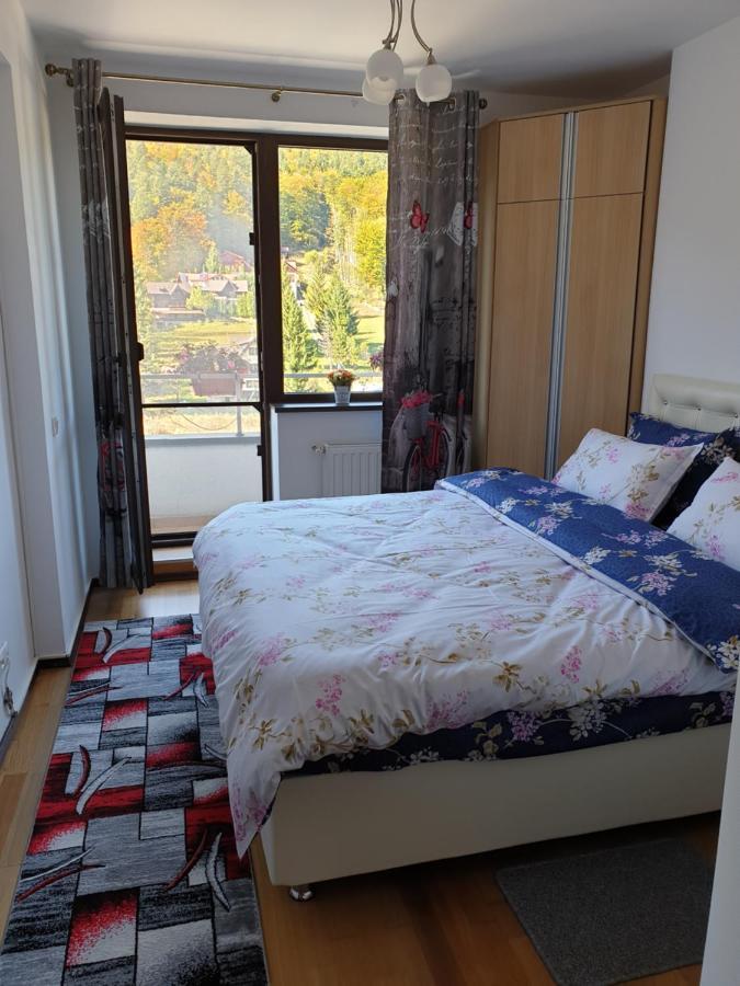 Sophie Apartament Appartement Sinaia Buitenkant foto