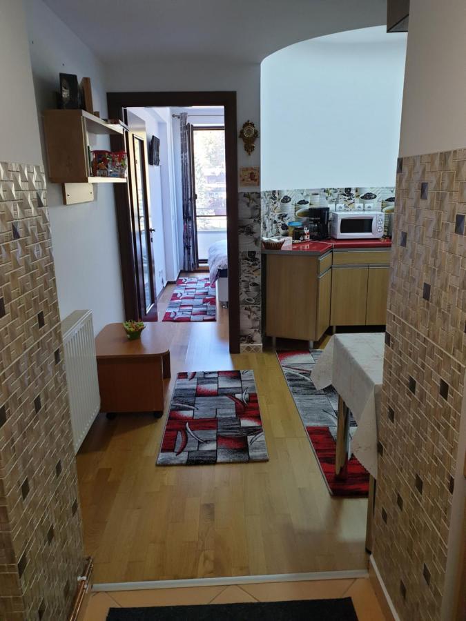 Sophie Apartament Appartement Sinaia Buitenkant foto