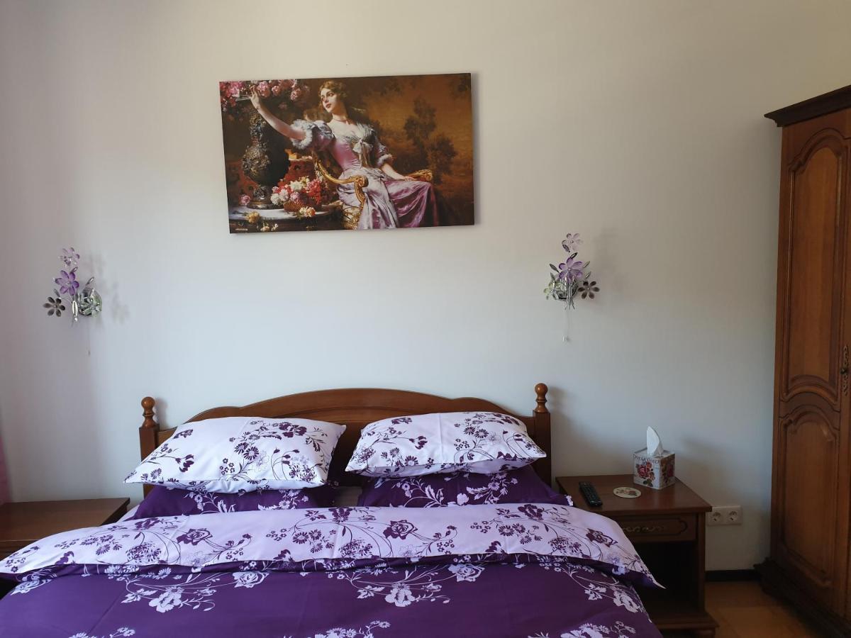 Sophie Apartament Appartement Sinaia Buitenkant foto