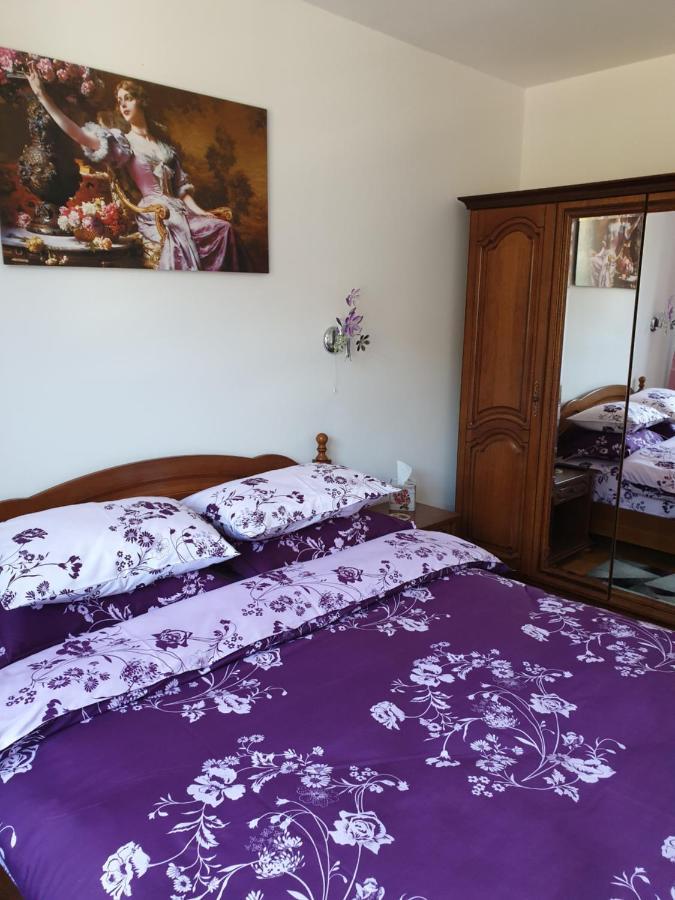 Sophie Apartament Appartement Sinaia Buitenkant foto