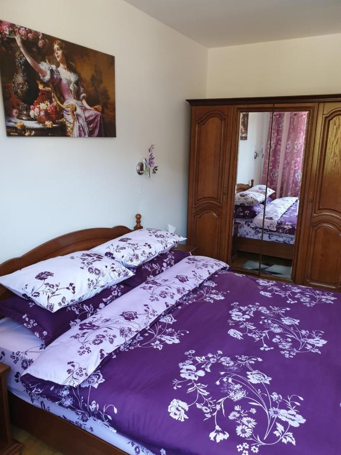 Sophie Apartament Appartement Sinaia Buitenkant foto