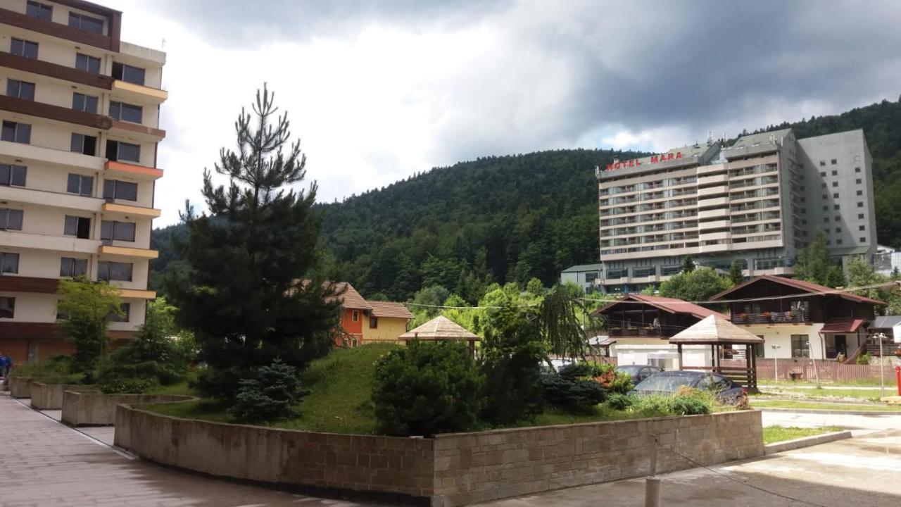Sophie Apartament Appartement Sinaia Buitenkant foto