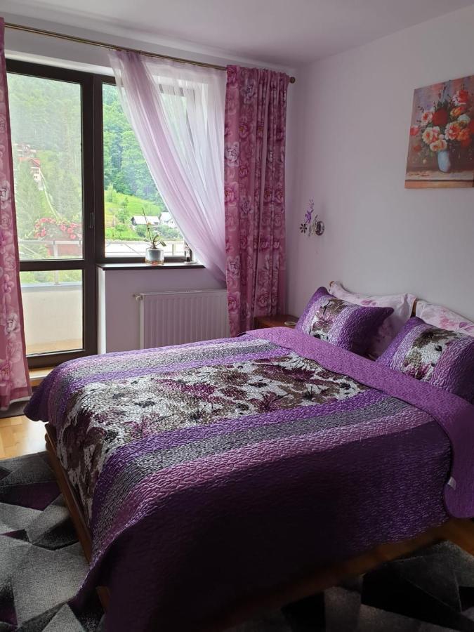 Sophie Apartament Appartement Sinaia Buitenkant foto