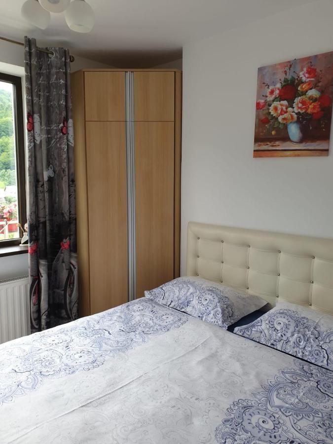 Sophie Apartament Appartement Sinaia Buitenkant foto