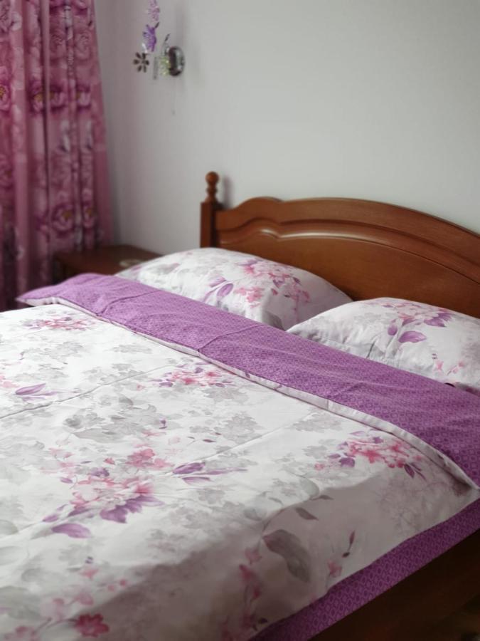 Sophie Apartament Appartement Sinaia Buitenkant foto