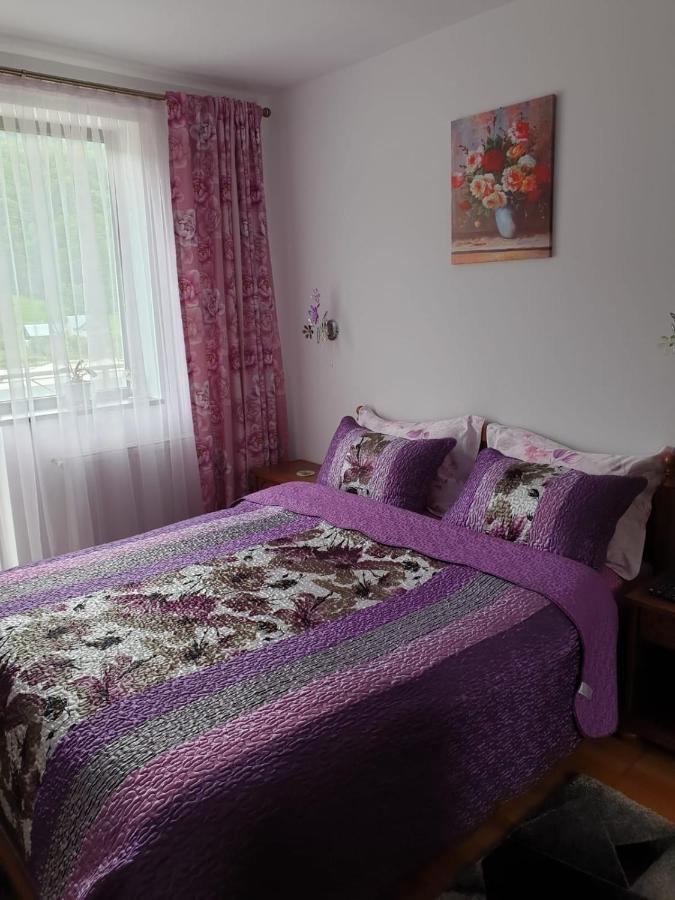 Sophie Apartament Appartement Sinaia Buitenkant foto