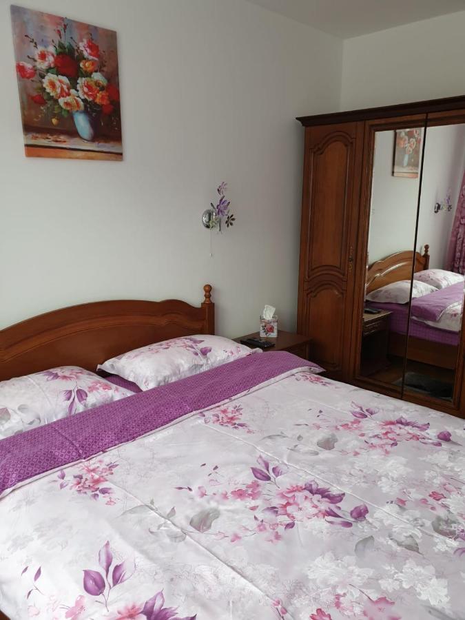 Sophie Apartament Appartement Sinaia Buitenkant foto