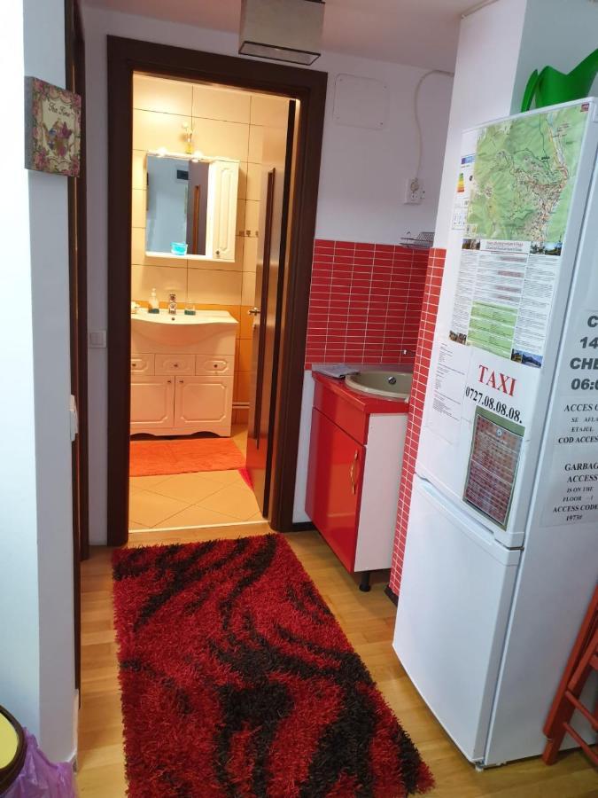 Sophie Apartament Appartement Sinaia Buitenkant foto