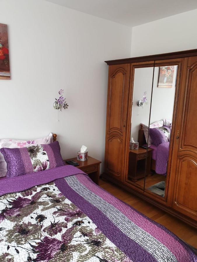 Sophie Apartament Appartement Sinaia Buitenkant foto