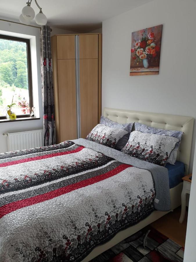 Sophie Apartament Appartement Sinaia Buitenkant foto
