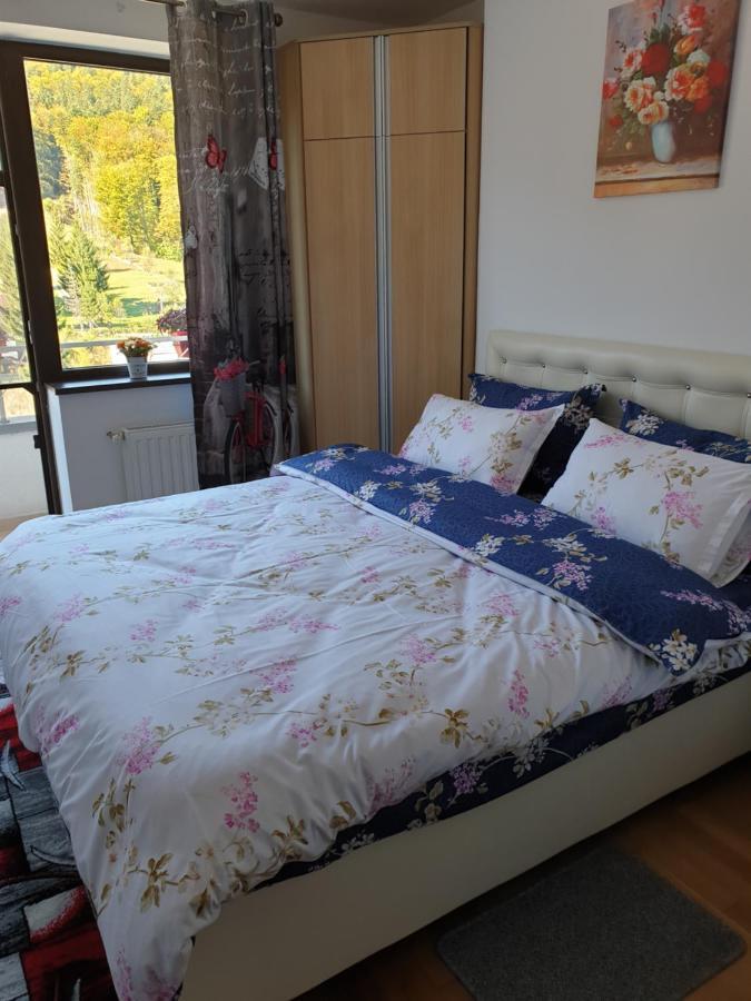 Sophie Apartament Appartement Sinaia Buitenkant foto