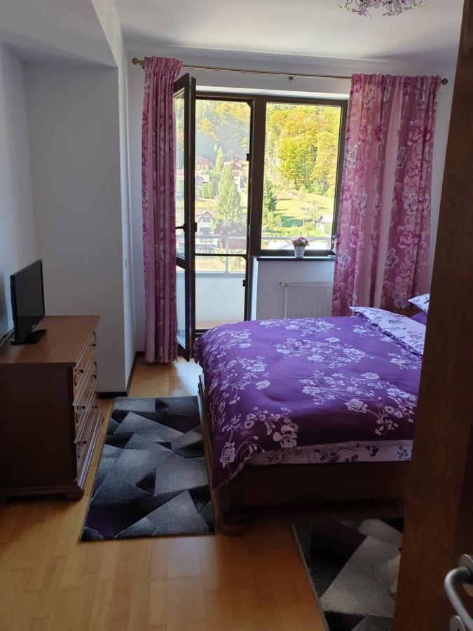 Sophie Apartament Appartement Sinaia Buitenkant foto
