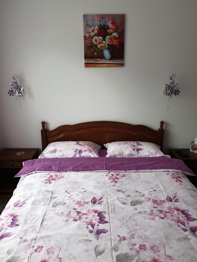 Sophie Apartament Appartement Sinaia Buitenkant foto