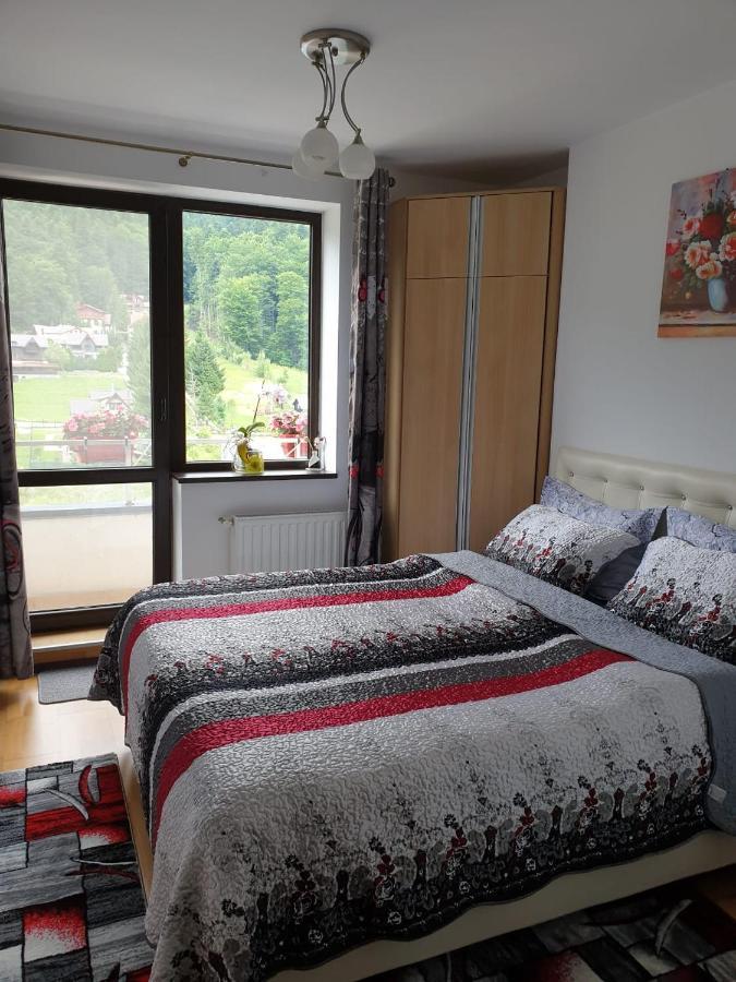 Sophie Apartament Appartement Sinaia Buitenkant foto