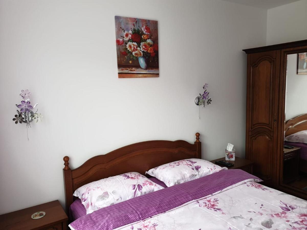 Sophie Apartament Appartement Sinaia Buitenkant foto