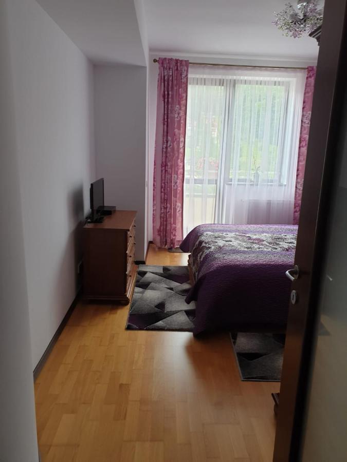 Sophie Apartament Appartement Sinaia Buitenkant foto