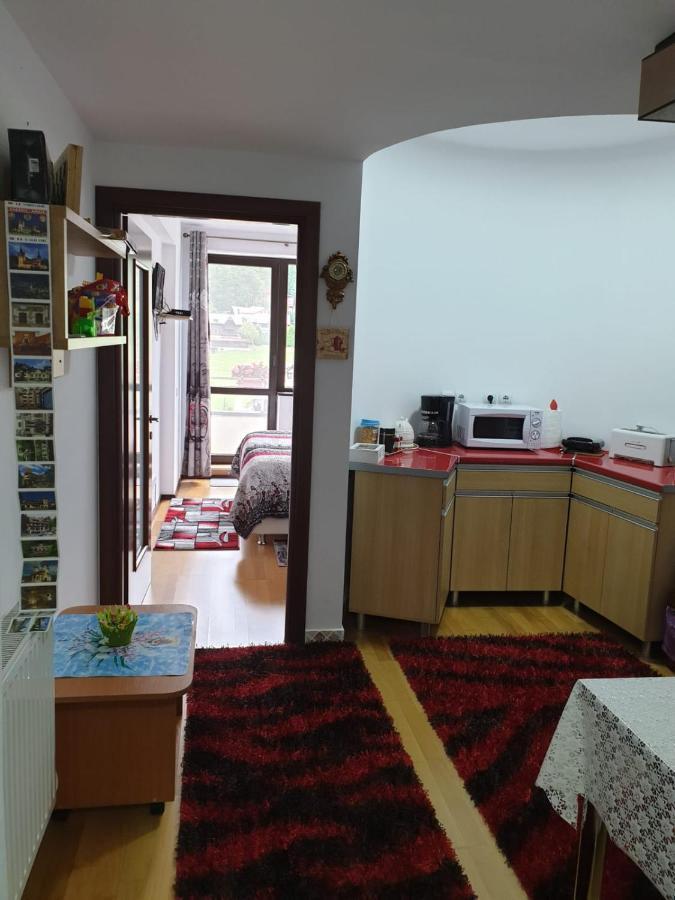 Sophie Apartament Appartement Sinaia Buitenkant foto