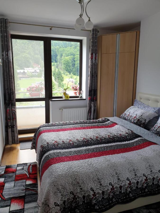 Sophie Apartament Appartement Sinaia Buitenkant foto