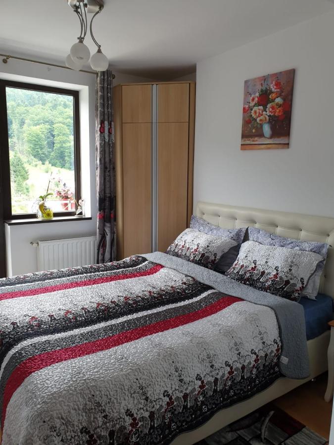 Sophie Apartament Appartement Sinaia Buitenkant foto