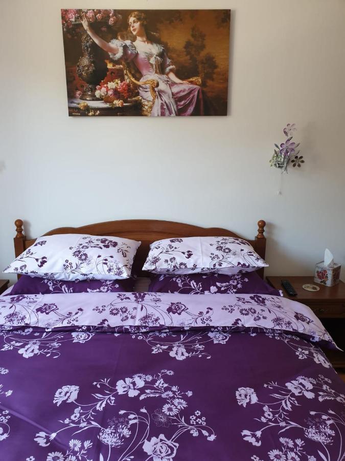 Sophie Apartament Appartement Sinaia Buitenkant foto