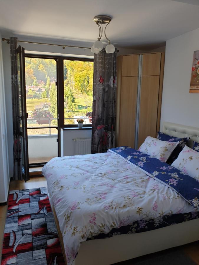 Sophie Apartament Appartement Sinaia Buitenkant foto