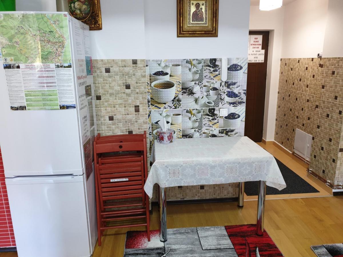Sophie Apartament Appartement Sinaia Buitenkant foto