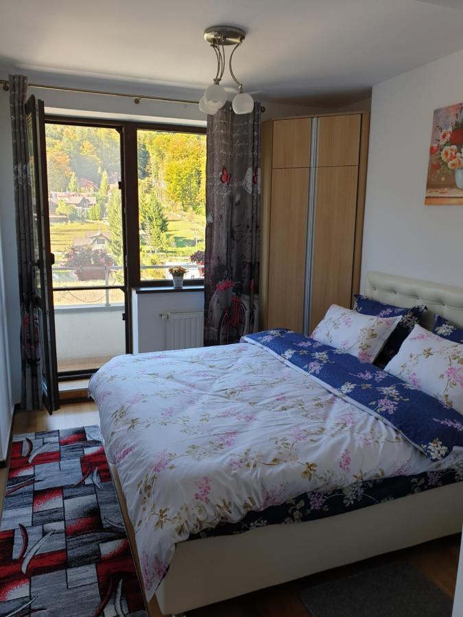 Sophie Apartament Appartement Sinaia Buitenkant foto