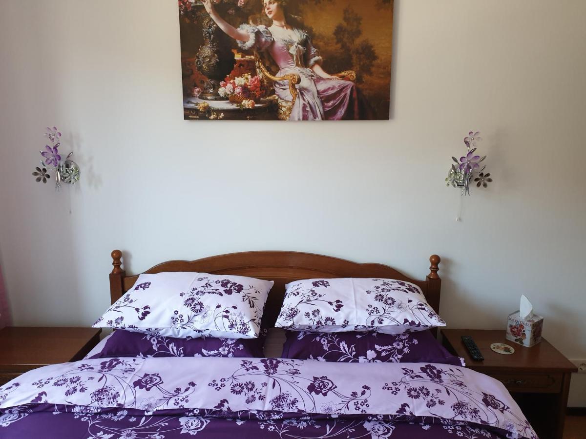 Sophie Apartament Appartement Sinaia Buitenkant foto