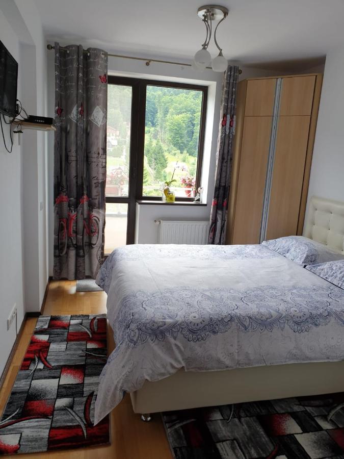 Sophie Apartament Appartement Sinaia Buitenkant foto