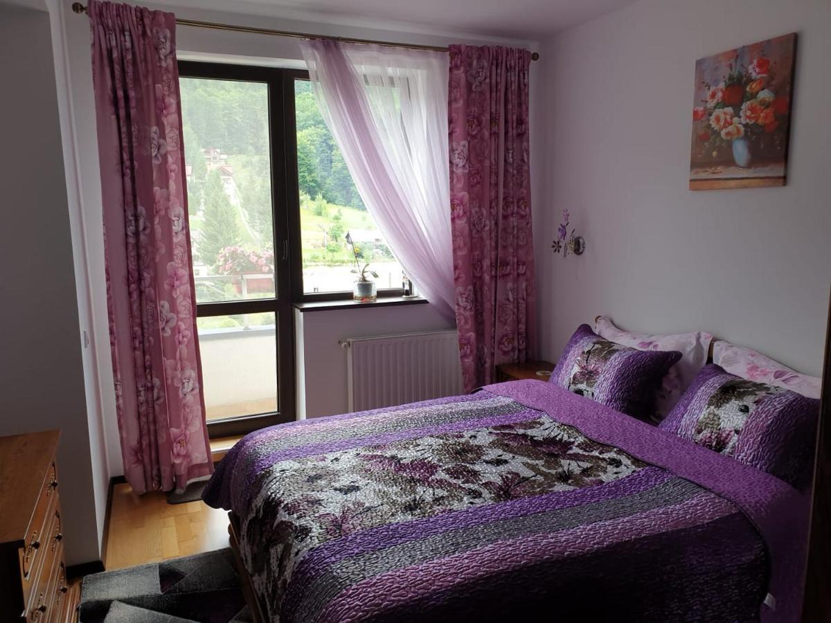 Sophie Apartament Appartement Sinaia Buitenkant foto