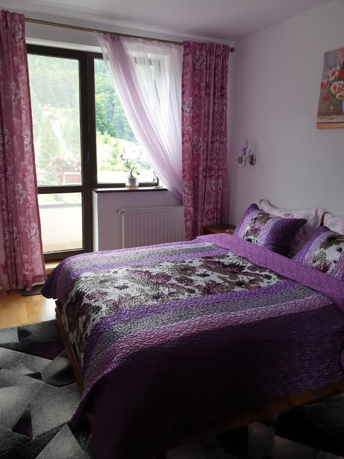 Sophie Apartament Appartement Sinaia Buitenkant foto